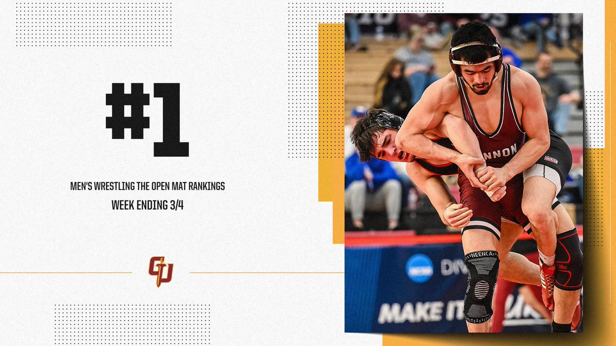 Gannon WRESTLING tweet media