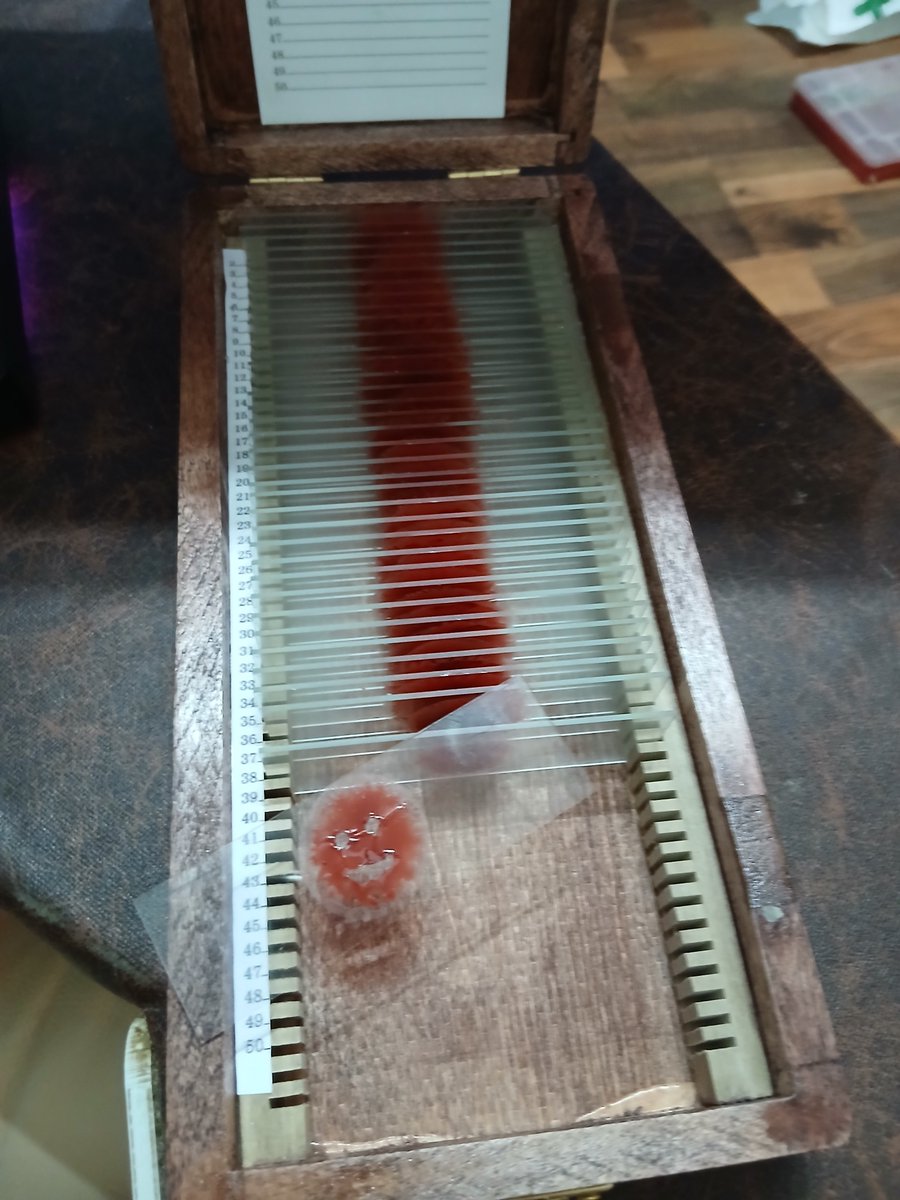 <a href="/SHO_Dexter/">Dexter</a> Just finished a quickly build . . . ;) season 1 prop. Looking forward to Resurrection Seaon 2 😁