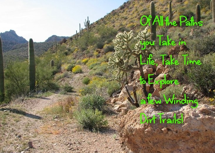 Happy Camper tweet media