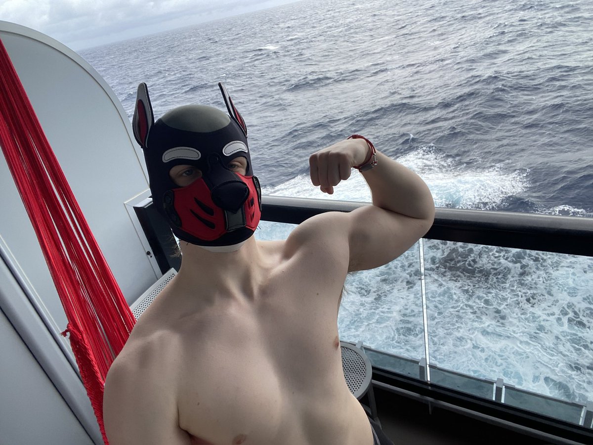 PupJJ 👊 tweet media