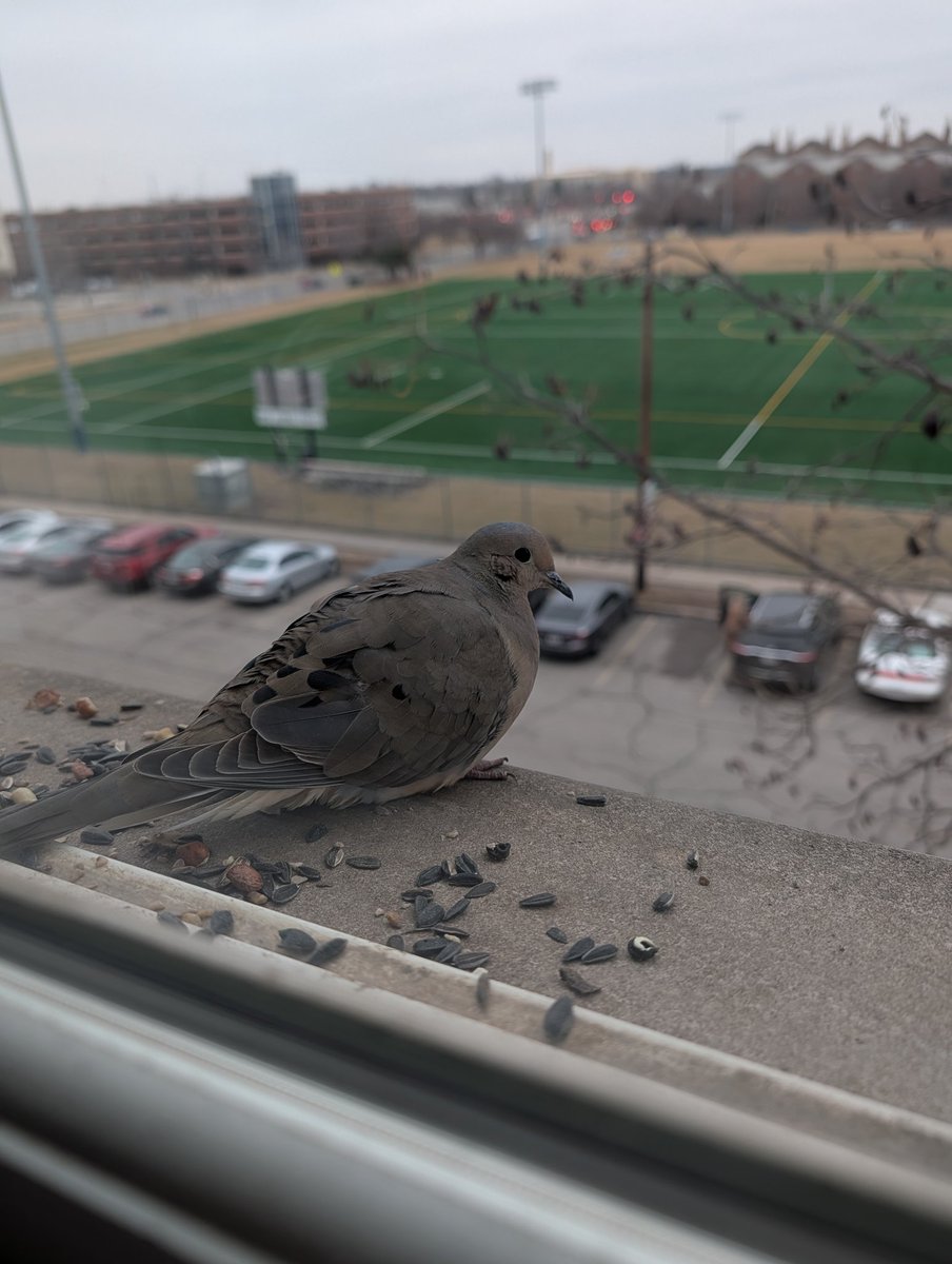 New window regular, say hello to barb