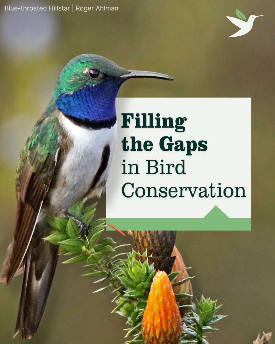 American Bird Conservancy tweet media