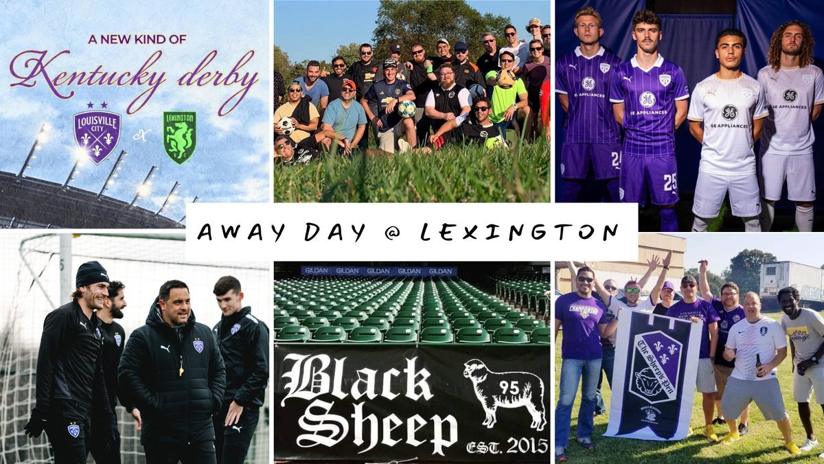 The Sheep's Pen tweet media