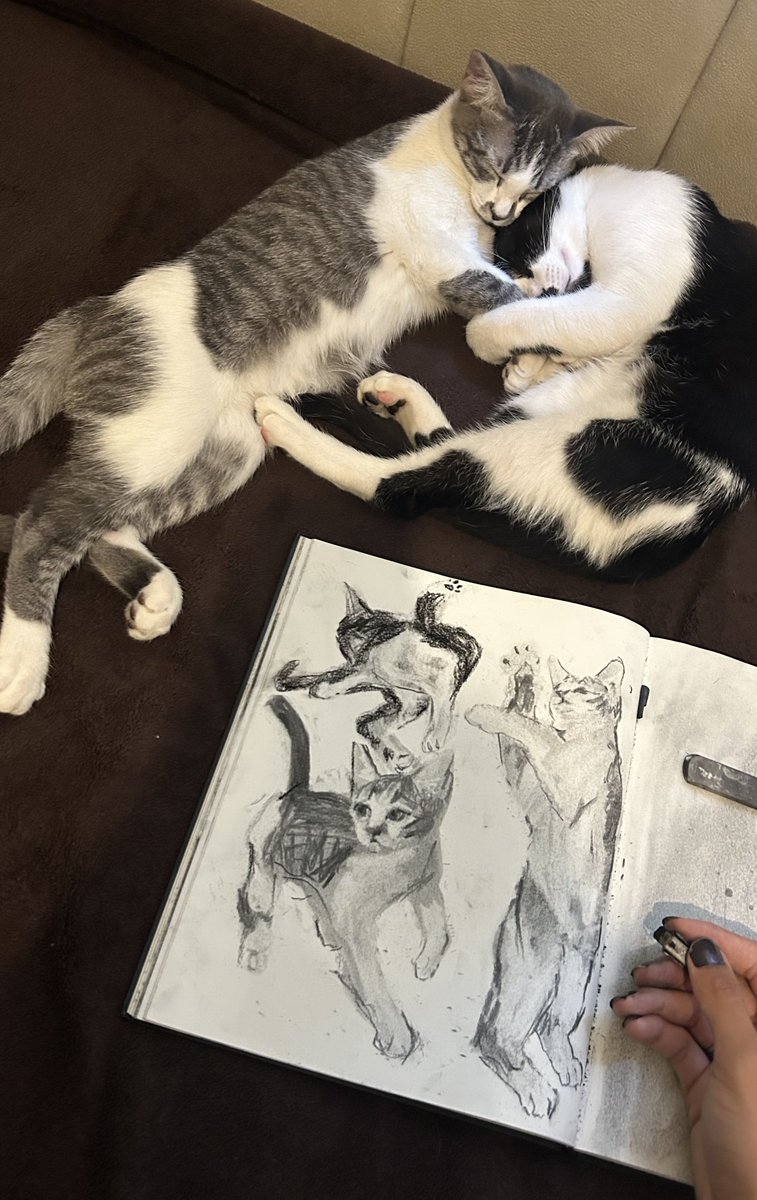 ✴︎𒀱✴︎ ge tweet media