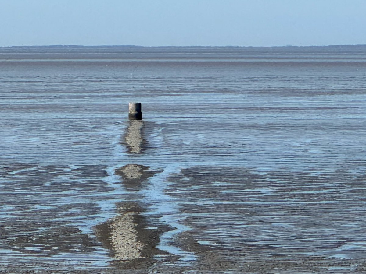 Ik wandel een etappe van Het Ziltepad.
Weidsheid, kilometers langs het Wad en heel veel rust &amp; stilte.
Puur genieten dus Sint-Jabobiparochie
Zie hele beeldverslag: youtu.be/EuUPgLEtRfI
Waarschuwing; ik was super in mijn element, dus het kan zijn dat je aangestoken wordt 😄