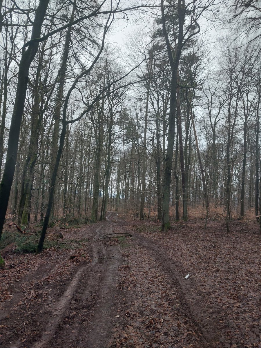 Michael Mastroserio 💉x5🏳️‍🌈🔴🔴🔴🏊‍♀️🚴‍♂️🏃 tweet media