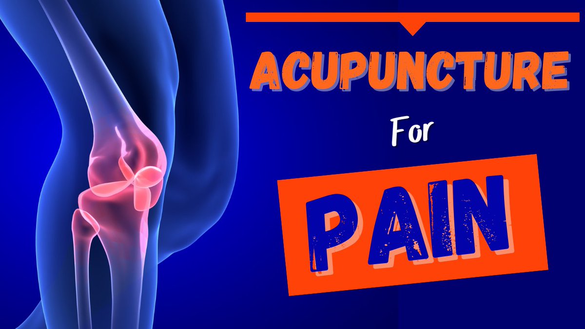 Clara Cohen tweet media