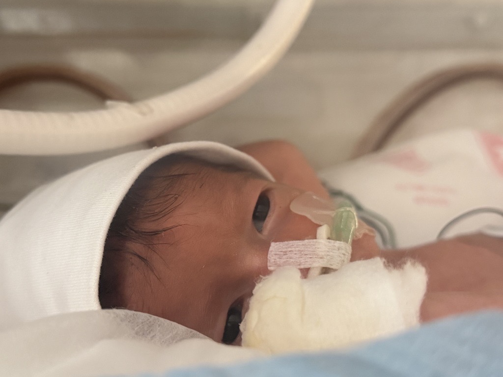 HolyFamilyHF's tweet photo. 468 babies received care in our NICU at Holy Family Hospital in 2025 ❤️ https://t.co/iGgOCLvoqf