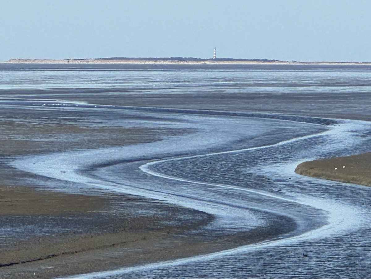 anitaboes's tweet photo. Ziltepad-verslag dl 2 d 1; rondwandeling Sint Jacobiparochie.
Vervolg langs de dijk; zicht op Het Wad met laag water.
Zo mooi, zo eindeloos, zo rustgevend 💚🍀
En ook nog over de langste straat van NL: Oudebildtdijk met mooie dijkhuisjes.
Videocompilatie: https://t.co/O7dIrua1wR https://t.co/g34i0xkxfn