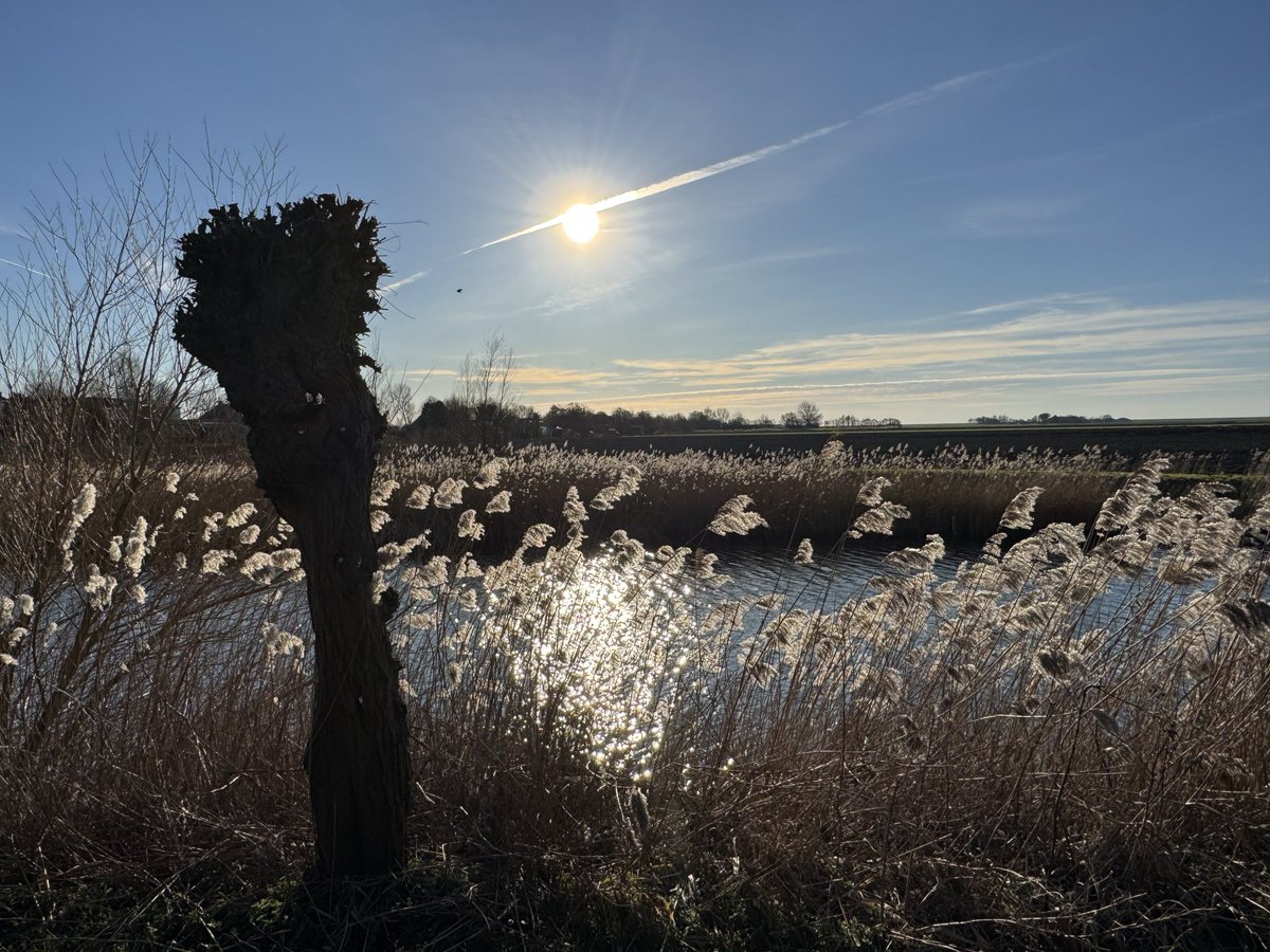 Ziltepad-verslag dl 2 d 1; rondwandeling Sint Jacobiparochie.
Vervolg langs de dijk; zicht op Het Wad met laag water.
Zo mooi, zo eindeloos, zo rustgevend 💚🍀
En ook nog over de langste straat van NL: Oudebildtdijk met mooie dijkhuisjes.
Videocompilatie: youtu.be/lZmPdbvN9PA