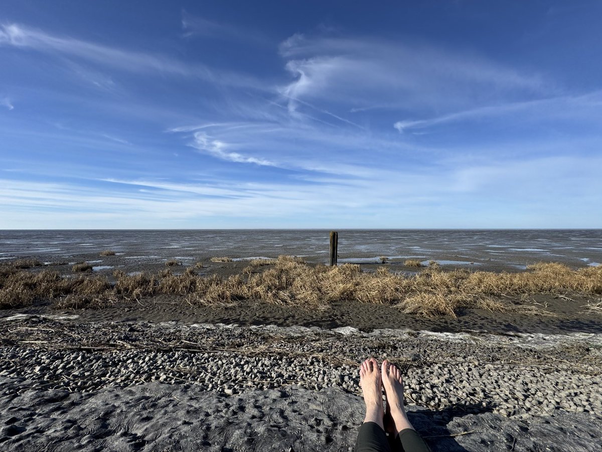 anitaboes's tweet photo. Ziltepad-verslag dl 2 d 1; rondwandeling Sint Jacobiparochie.
Vervolg langs de dijk; zicht op Het Wad met laag water.
Zo mooi, zo eindeloos, zo rustgevend 💚🍀
En ook nog over de langste straat van NL: Oudebildtdijk met mooie dijkhuisjes.
Videocompilatie: https://t.co/O7dIrua1wR https://t.co/g34i0xkxfn