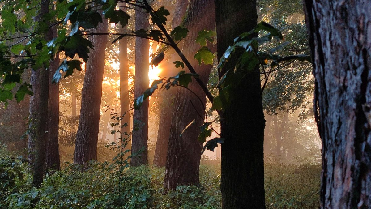 Дивний 🇺🇦 tweet media