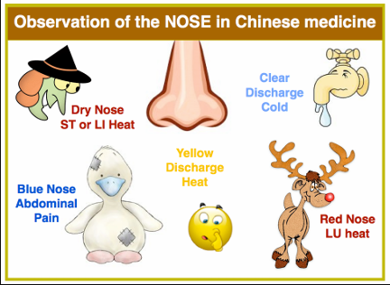 Clara Cohen tweet media