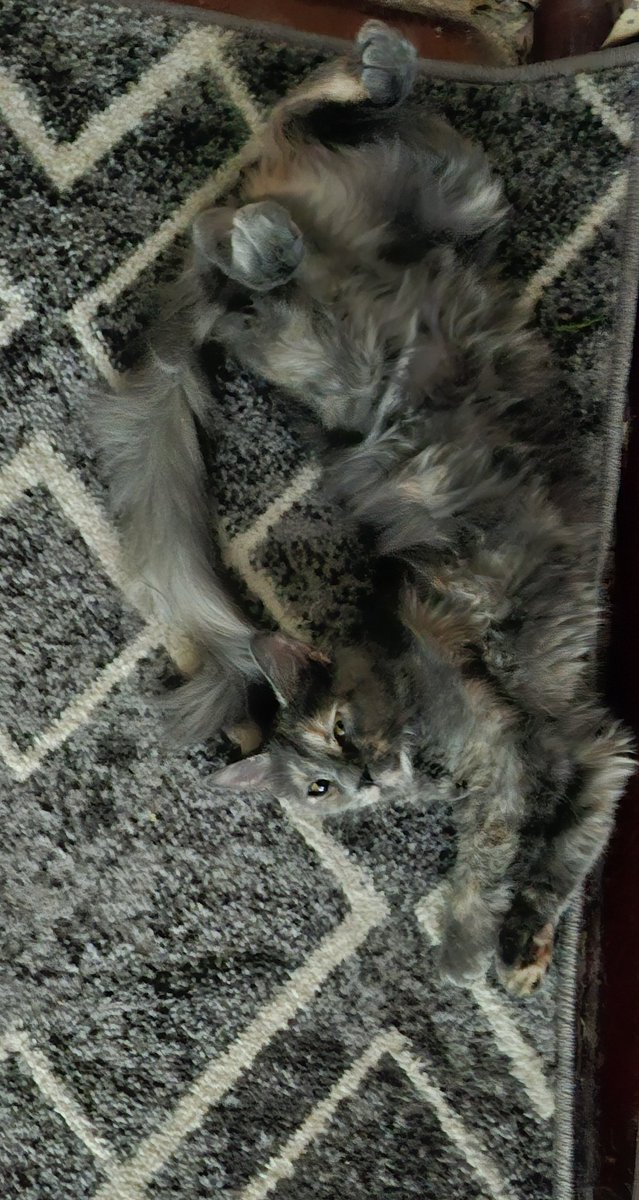 Маскування 100лвл