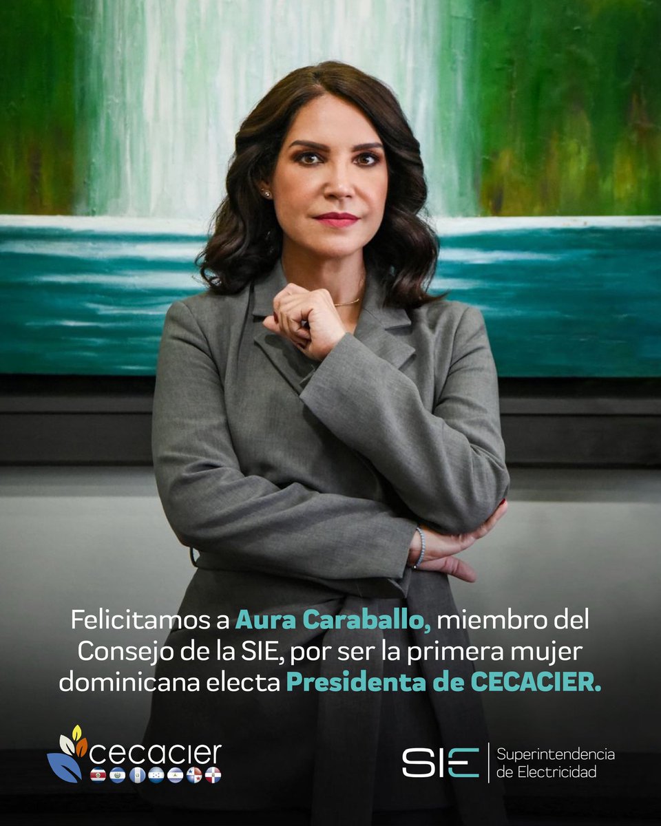 Superintendencia de Electricidad tweet media