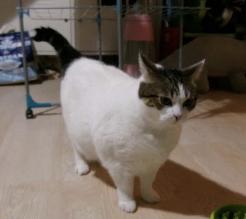 cc cézembre pk t’es pas contente t’as pas eu la paté