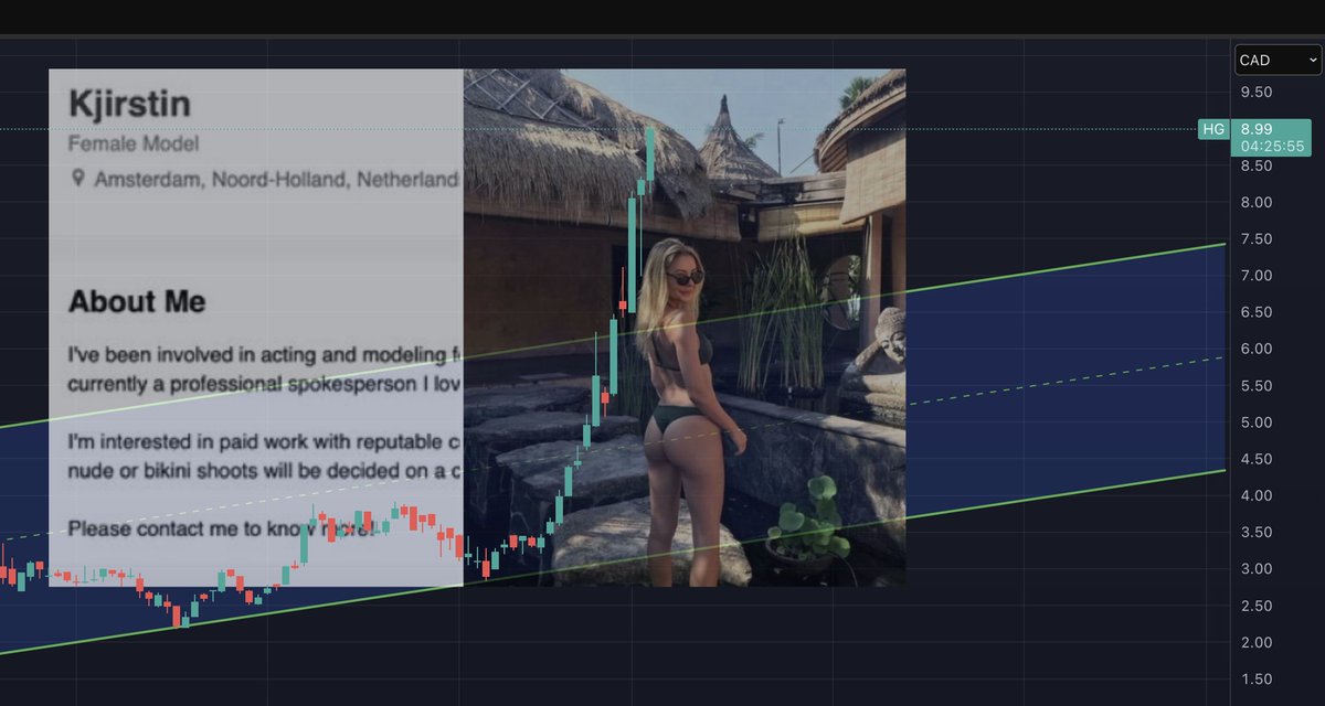 Thomas Hofer tweet media