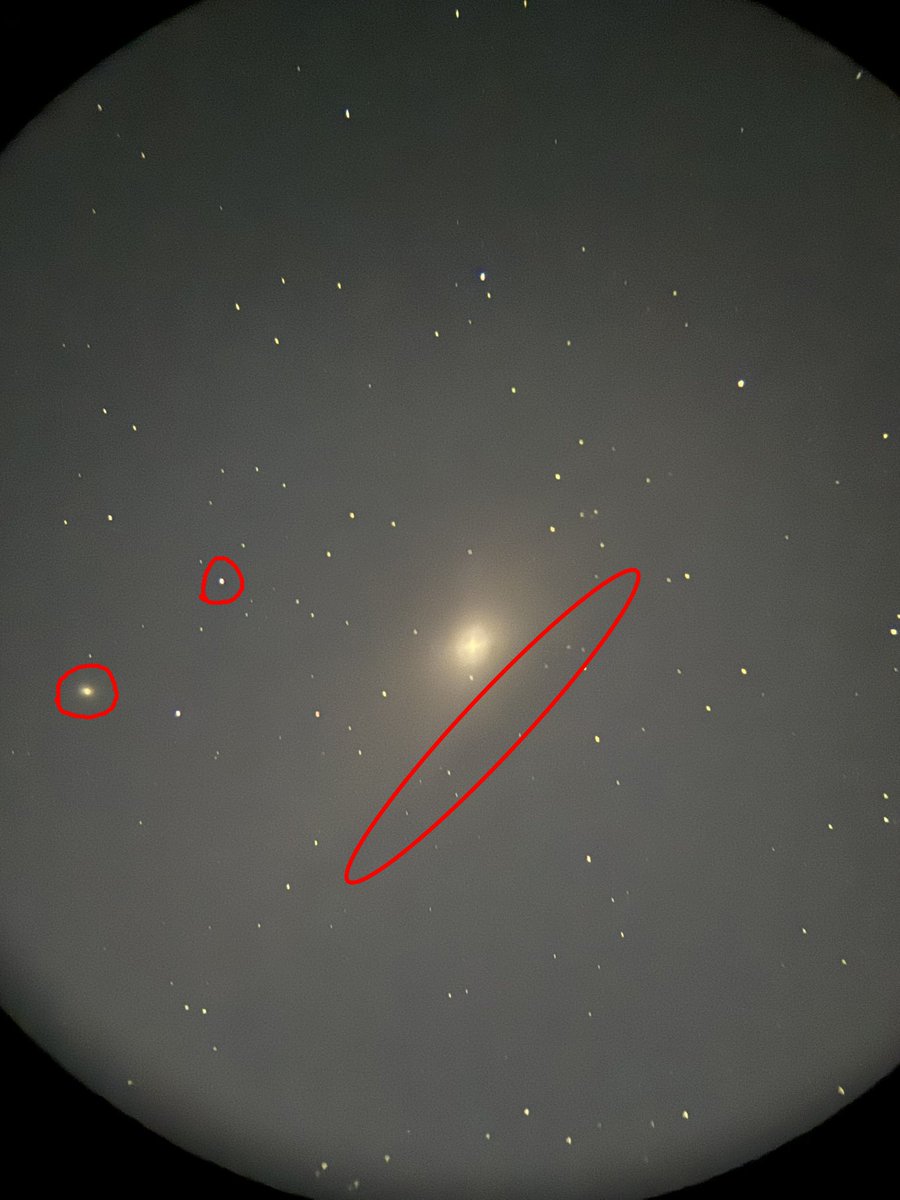 Milk Truck Driver tweet media