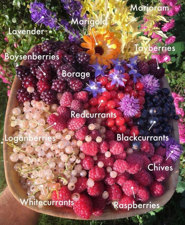 La vie est belle tweet media