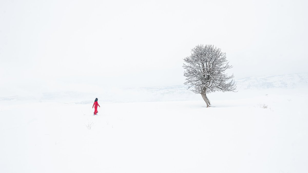 MelihERSAHiN tweet media