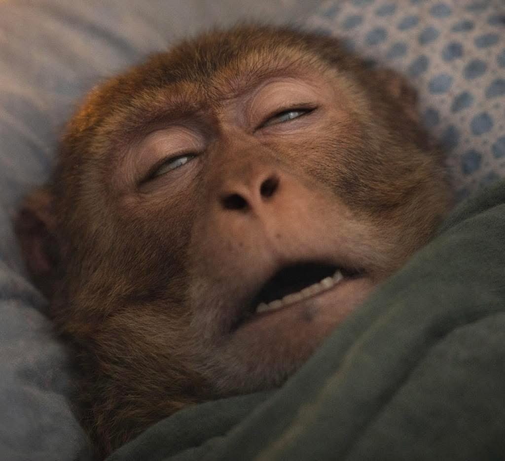 "Are you free after work?"
Me after work