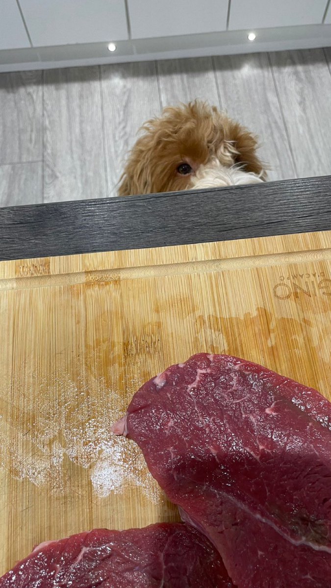 renderful tweet media