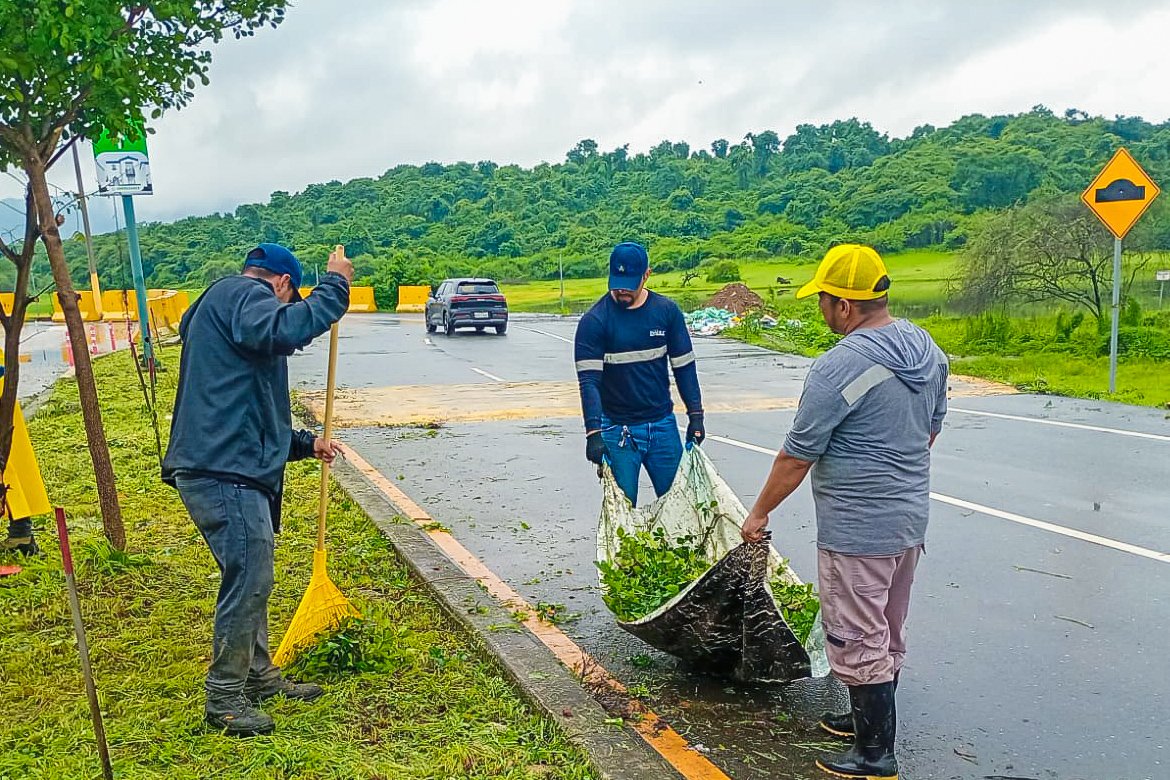 AlcaldiadeDaule's tweet photo. 🌿 Seguimos trabajando por un cantón más limpio y verde.
La Alcaldía mantiene y recupera áreas verdes, interviniendo parques y espacios públicos para brindar lugares seguros y adecuados para la recreación y convivencia familiar. 💚 https://t.co/MC9a0c4494