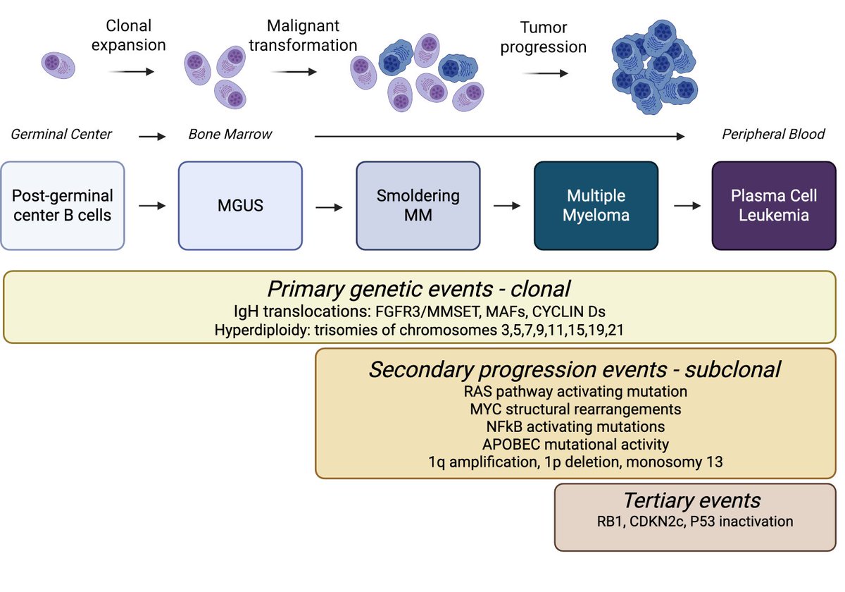 Cancer Immunoprevention Network tweet media
