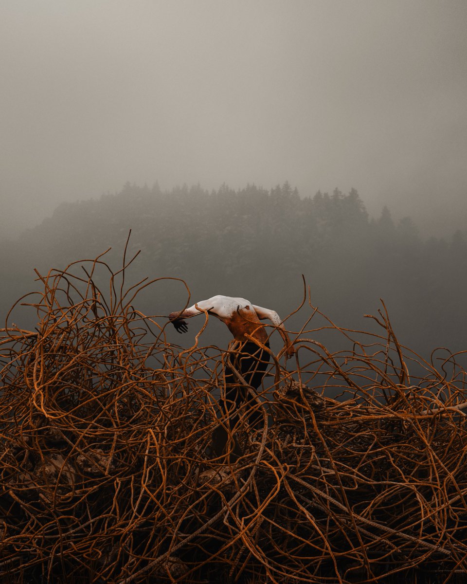 Sean Mundy tweet media