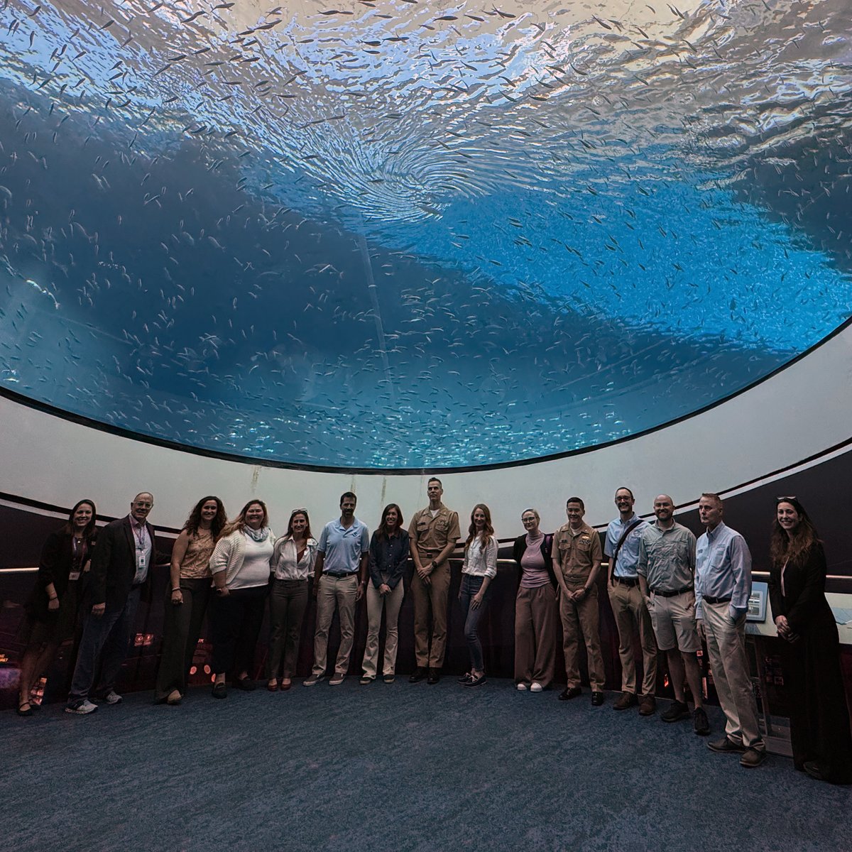 NOAA Coral Program tweet media