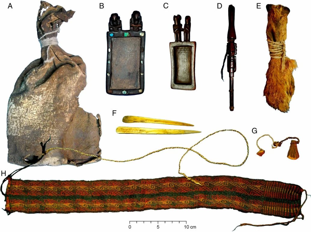 A 1,000-year-old drug kit was found in a Bolivian cave.

Inside: five psychoactive compounds, including the exact recipe for ayahuasca.

Cocaine. DMT. Harmine. Bufotenine. Possibly psilocin.

The largest collection ever found in a single South American artifact.

None of these