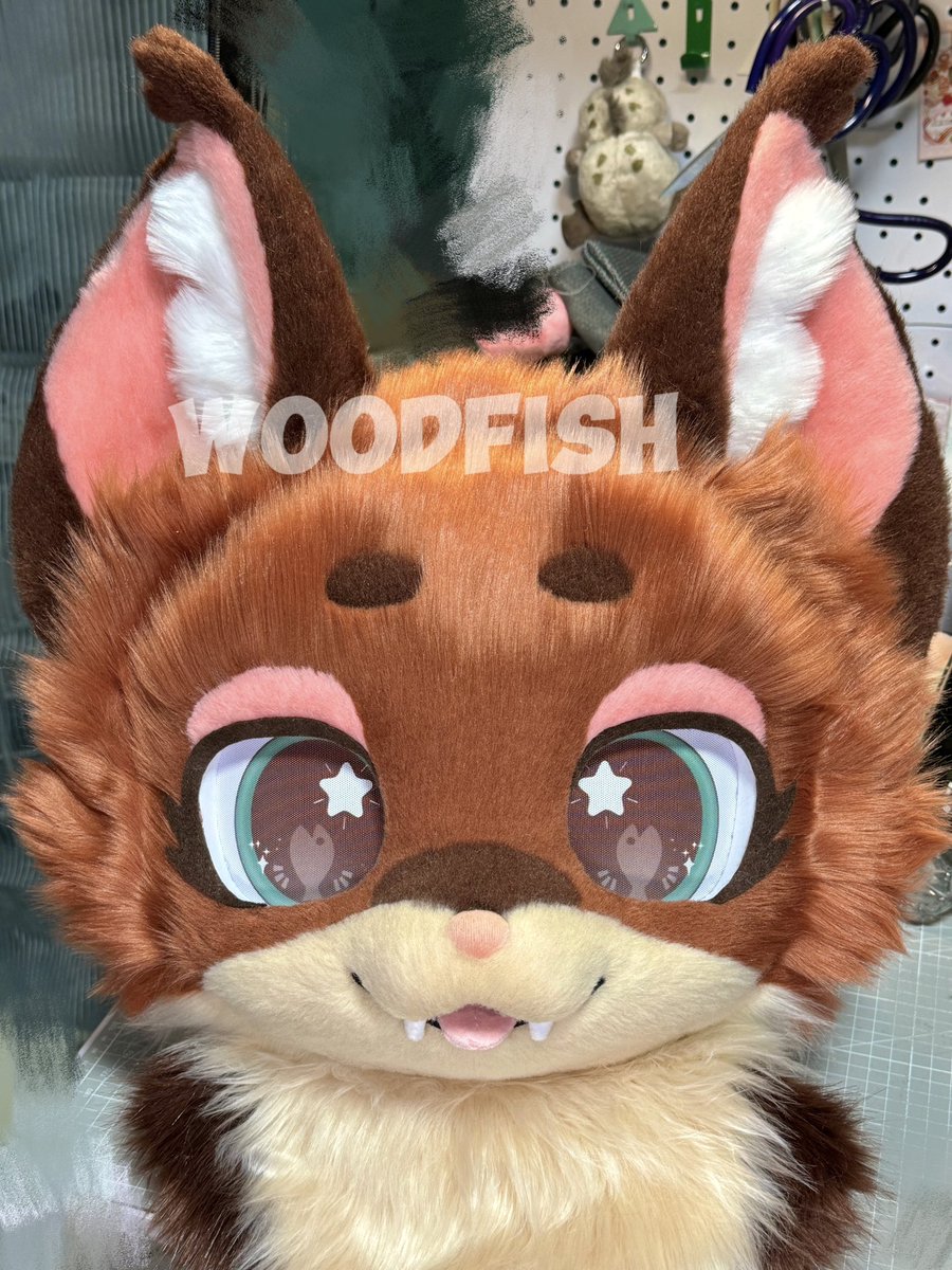 WOODFISH tweet media