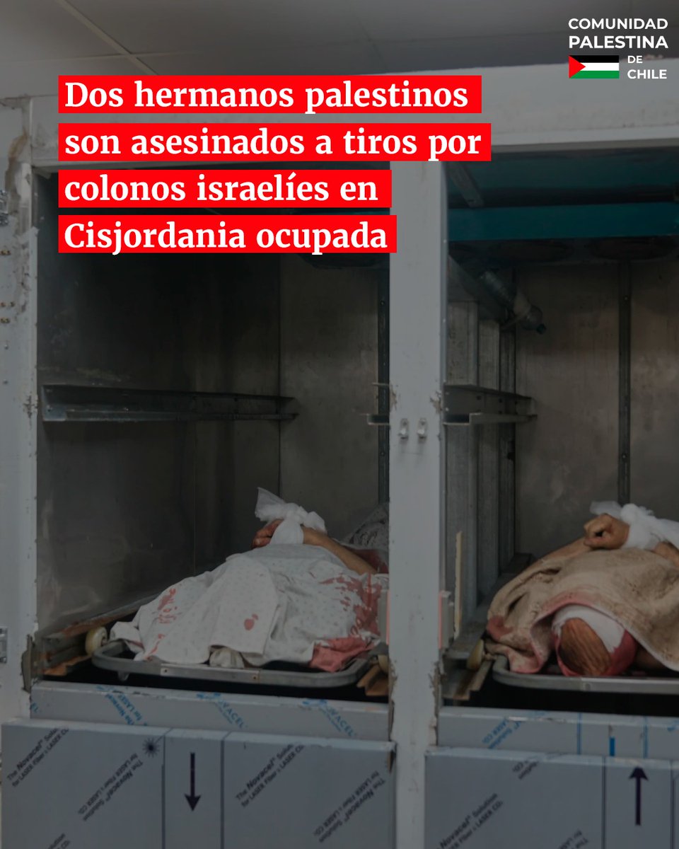 Comunidad Palestina de Chile tweet media