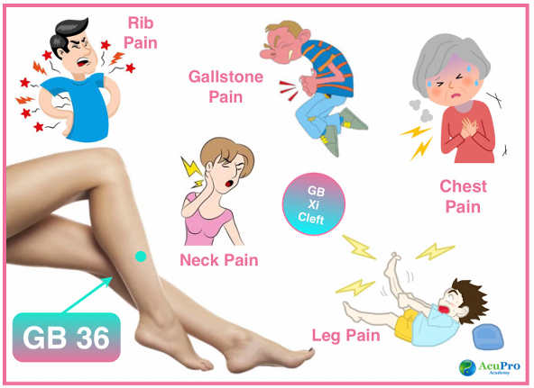 Clara Cohen tweet media