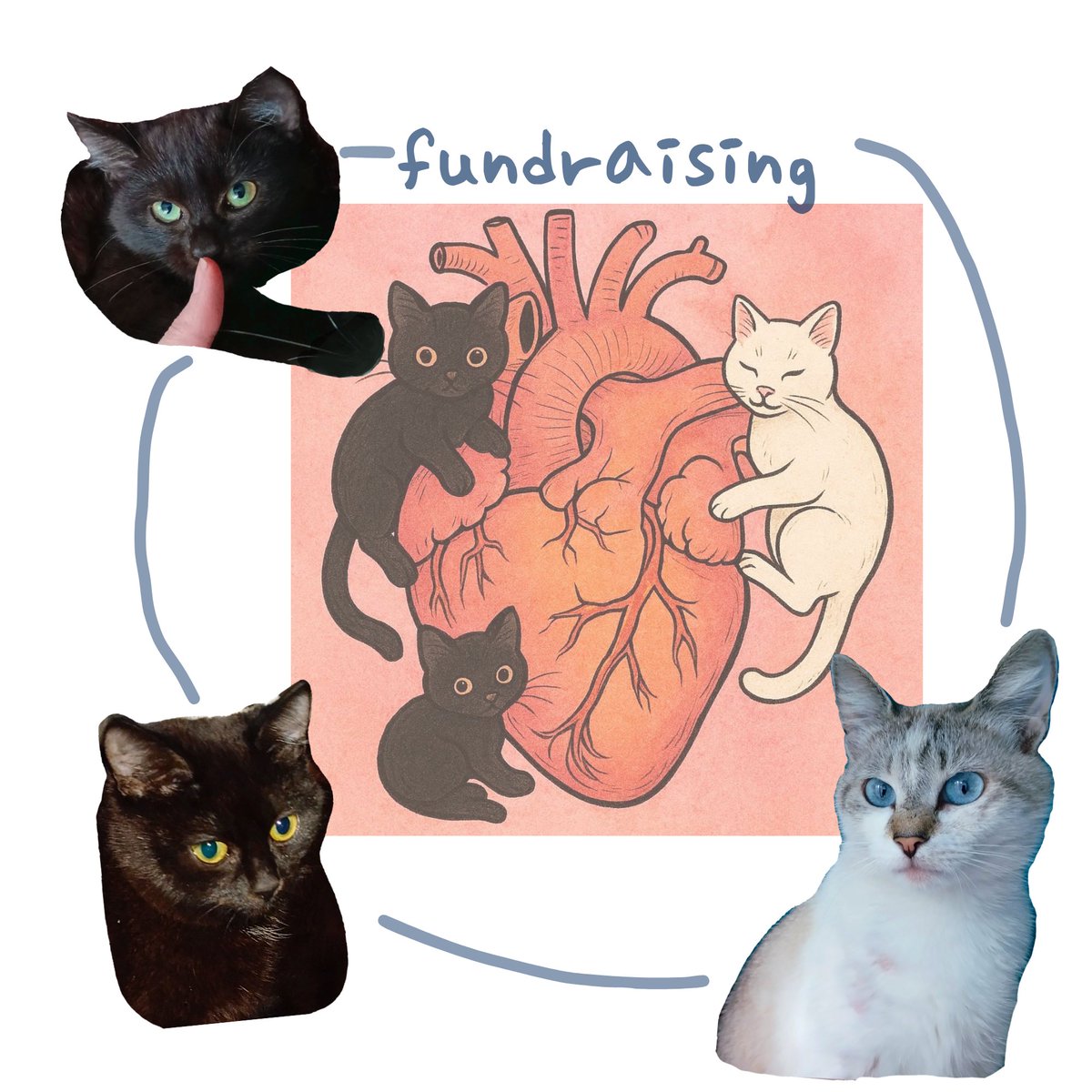 lish chyna tweet media