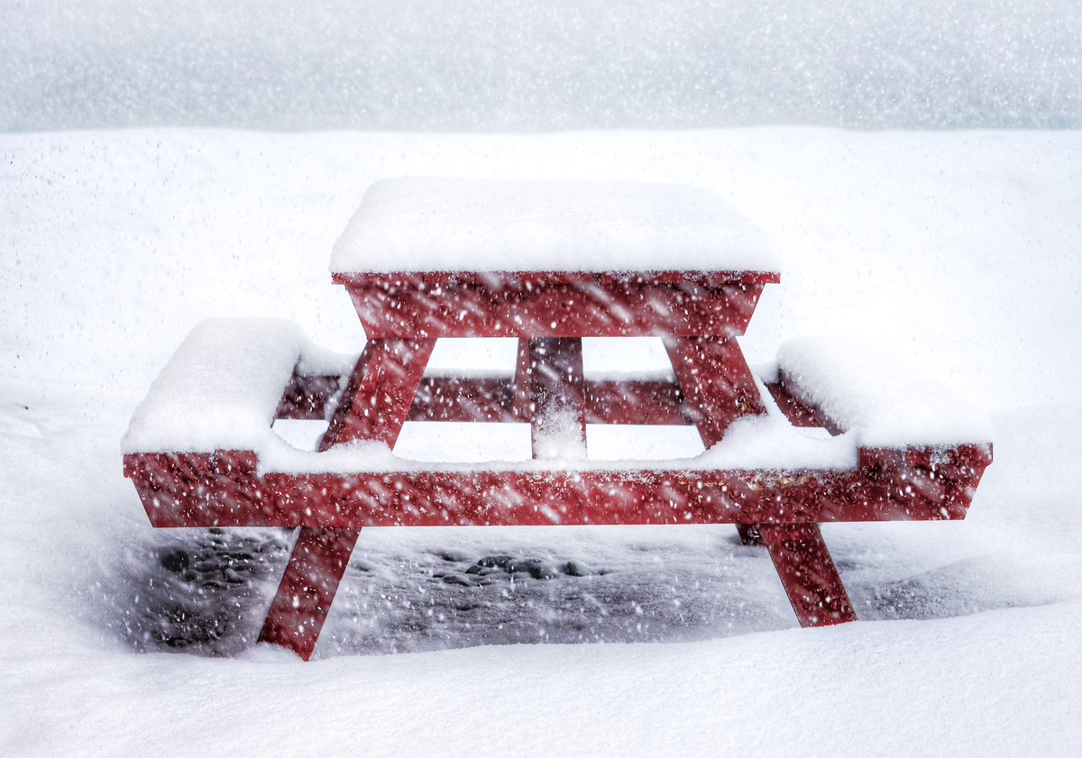 🇨🇦 tweet media