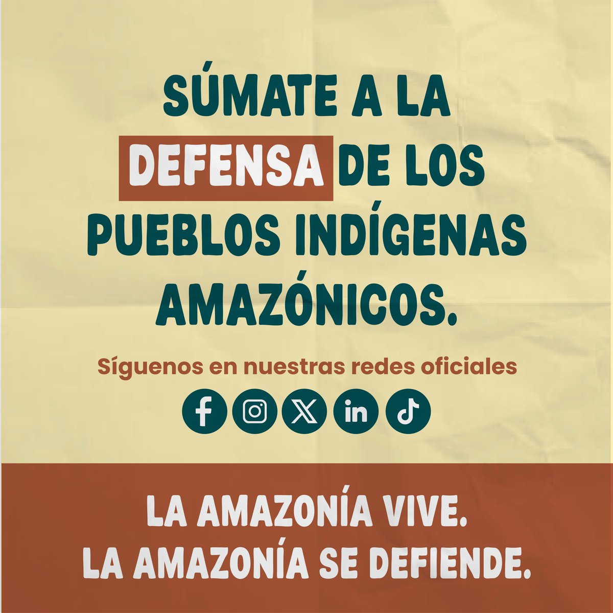 COICA ORG tweet media