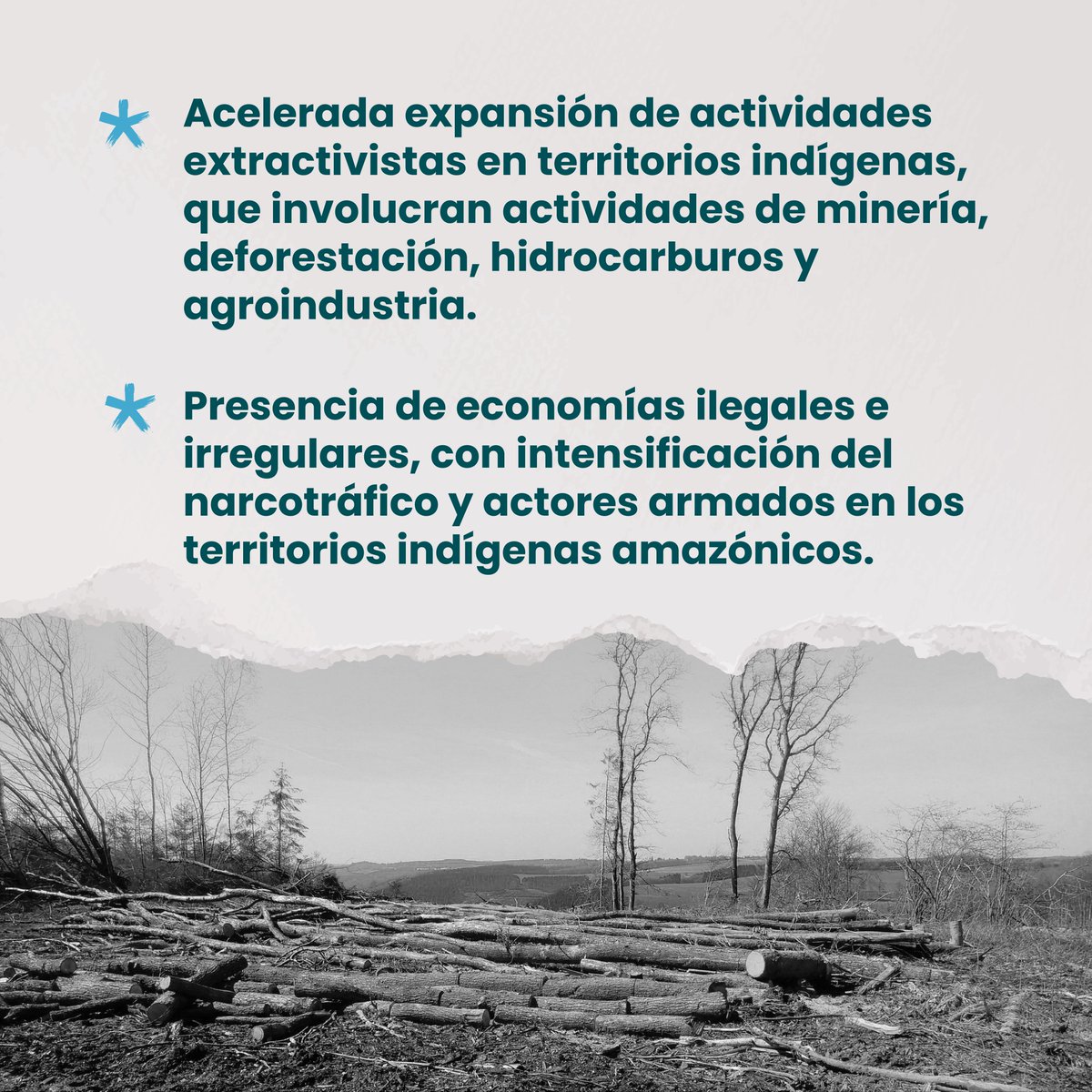 COICA ORG tweet media