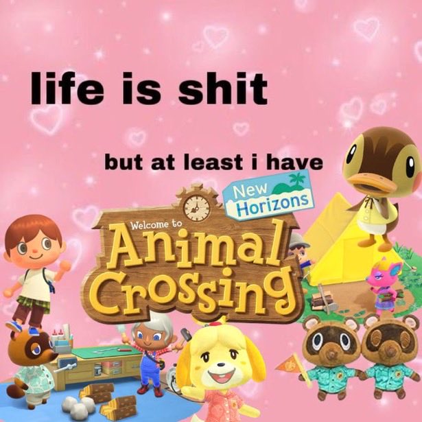 Canelita tweet media