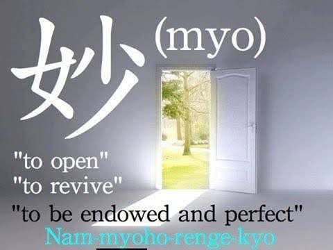 Amrta Dutt (@amrita_dutt) on Twitter photo 