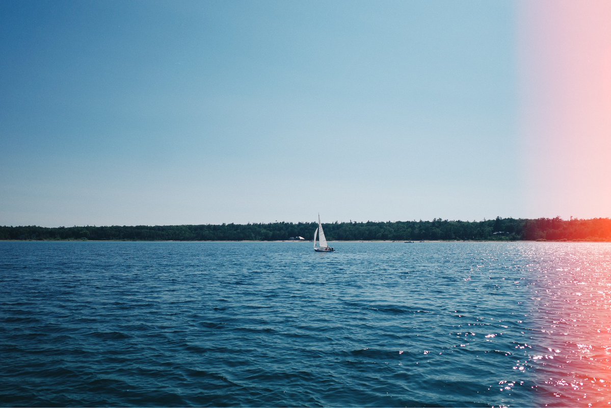 Fox & Root tweet media