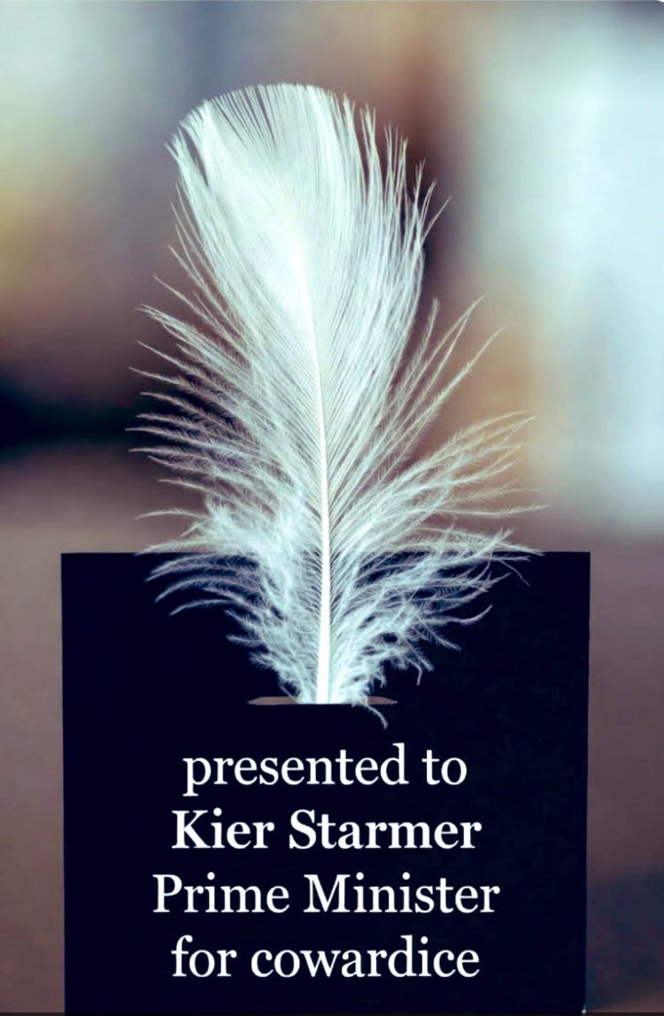 peter tweet media