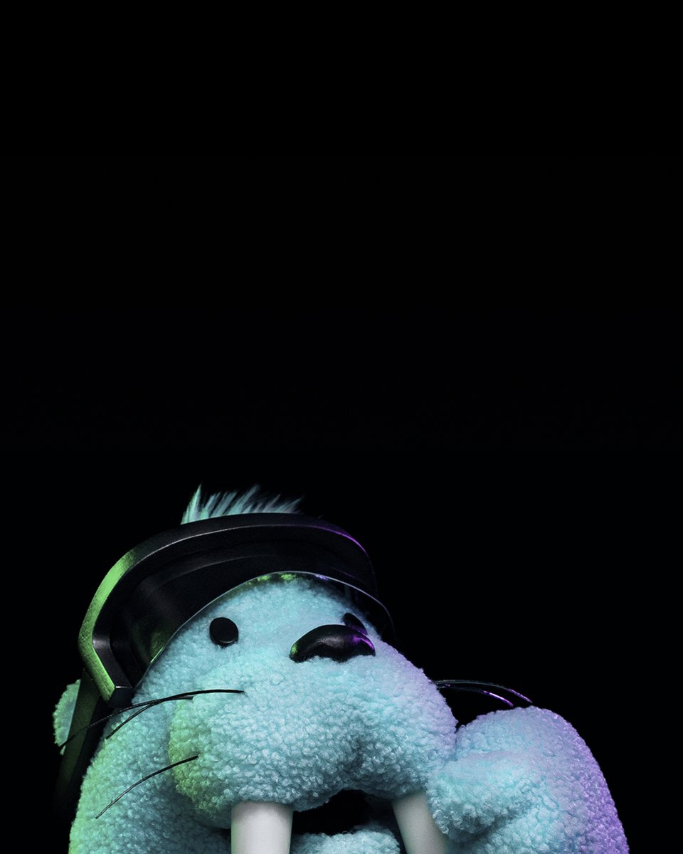 Walrus 🦭/acc tweet media