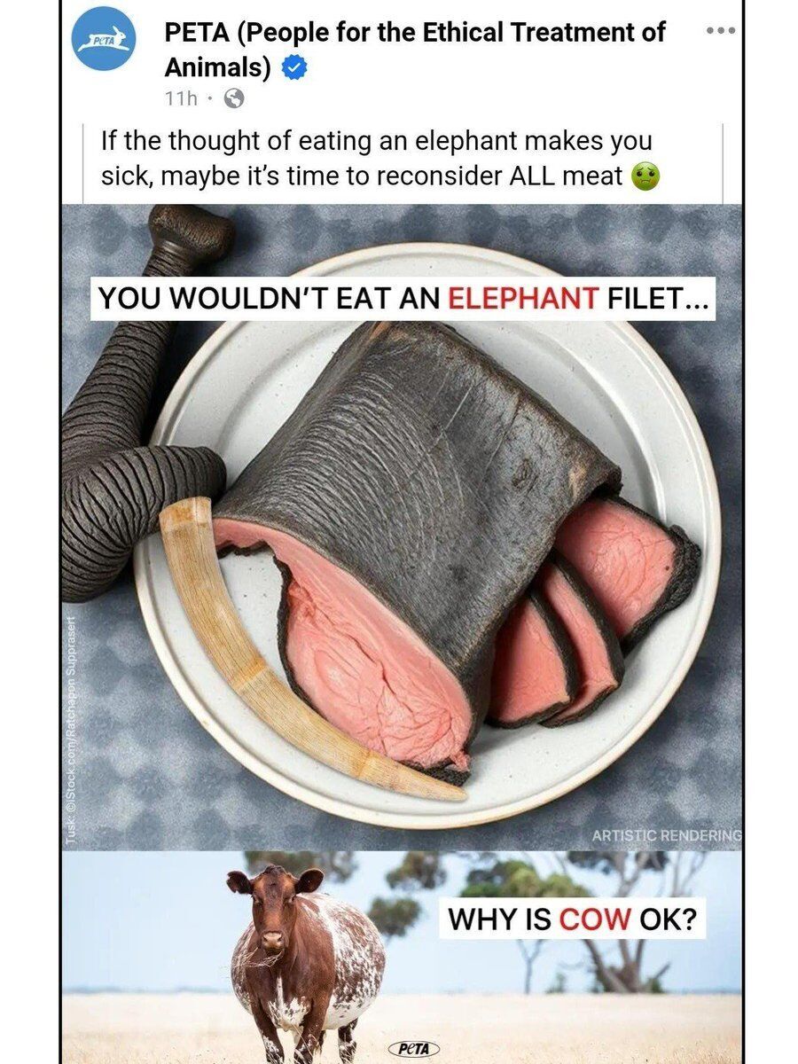 Delusional Takes tweet media