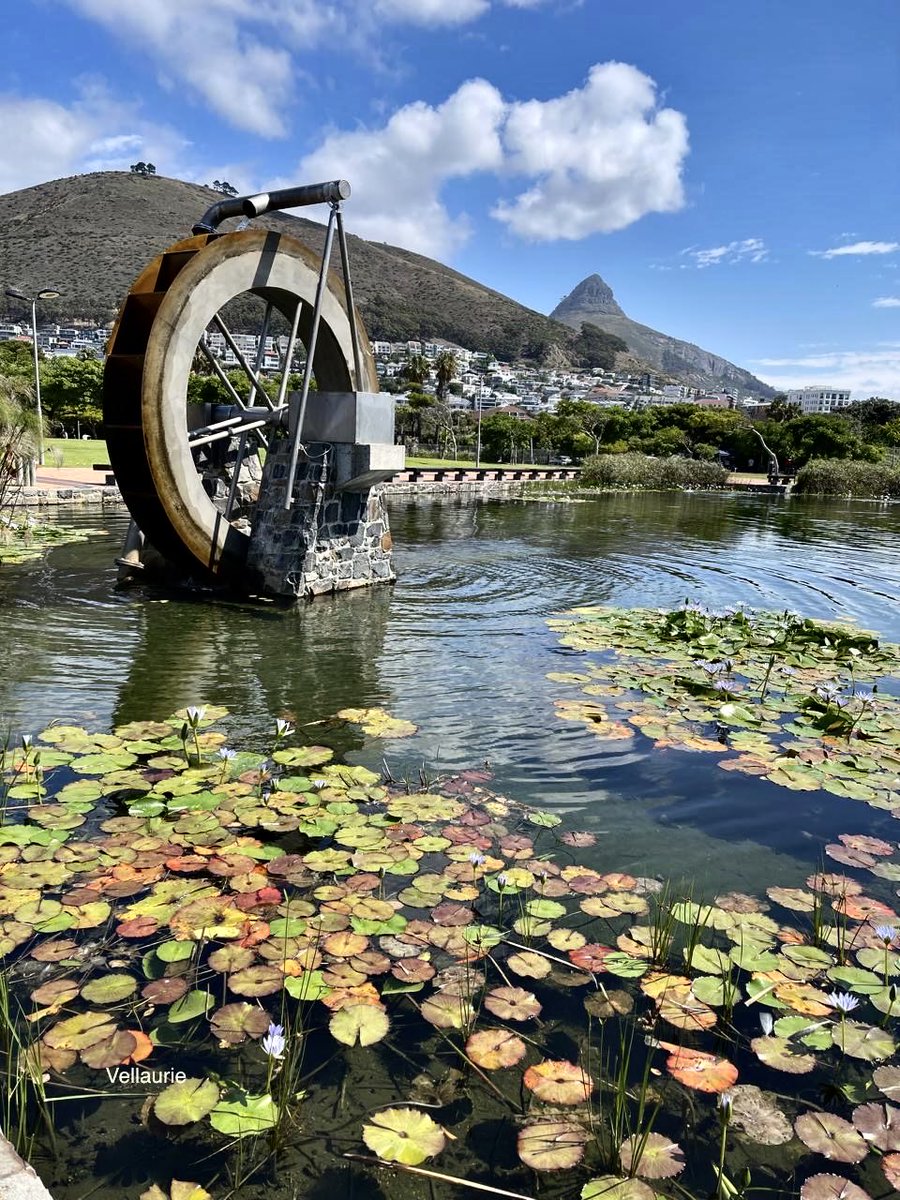 Vijay Ellaurie tweet media