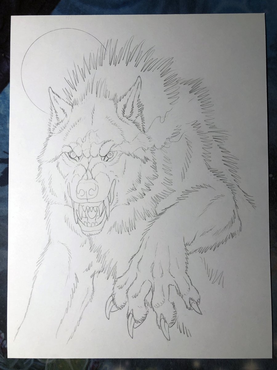 goldenwolf.bsky.social tweet media