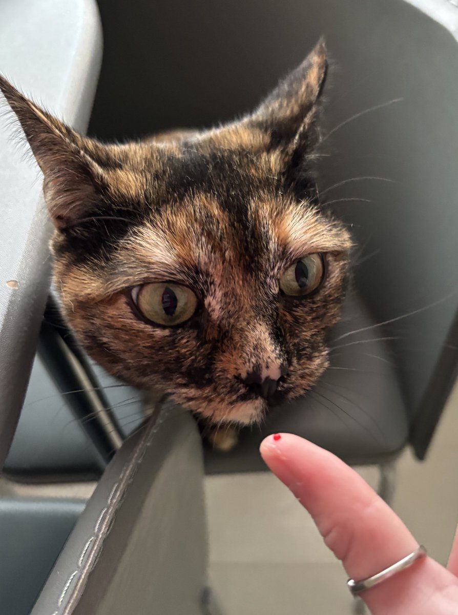 the criminal and her crime