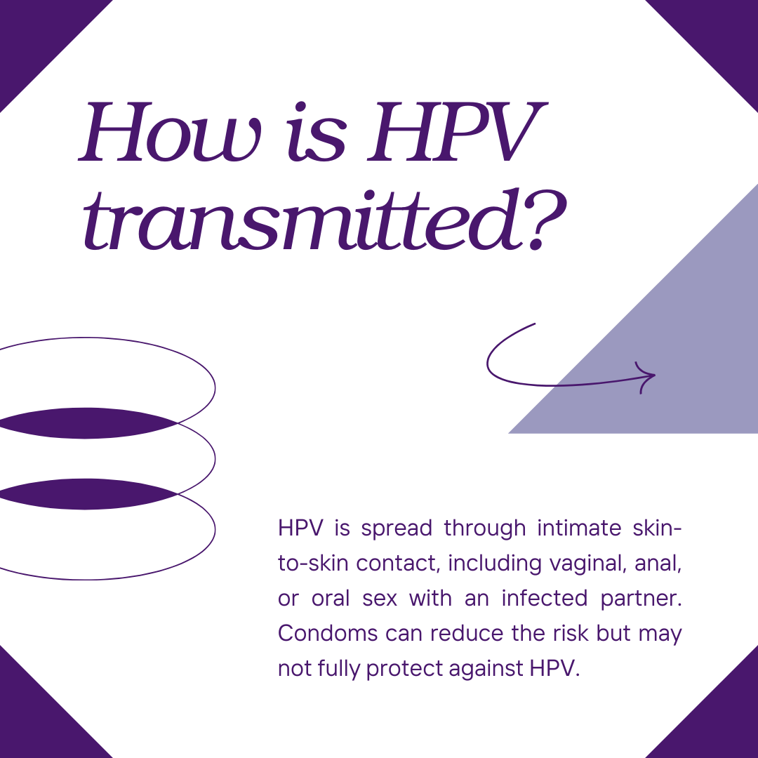 CHC_Tulsa's tweet photo. This International HPV Awareness Day, learn about HPV, cervical cancer, and what you can do to prevent it. Give us a call at (918)622-0641 to schedule your testing &amp; prevention methods. 

#HPVAwareness #CervicalCancerPrevention #ReproductiveHealth https://t.co/epKkJjGPaT