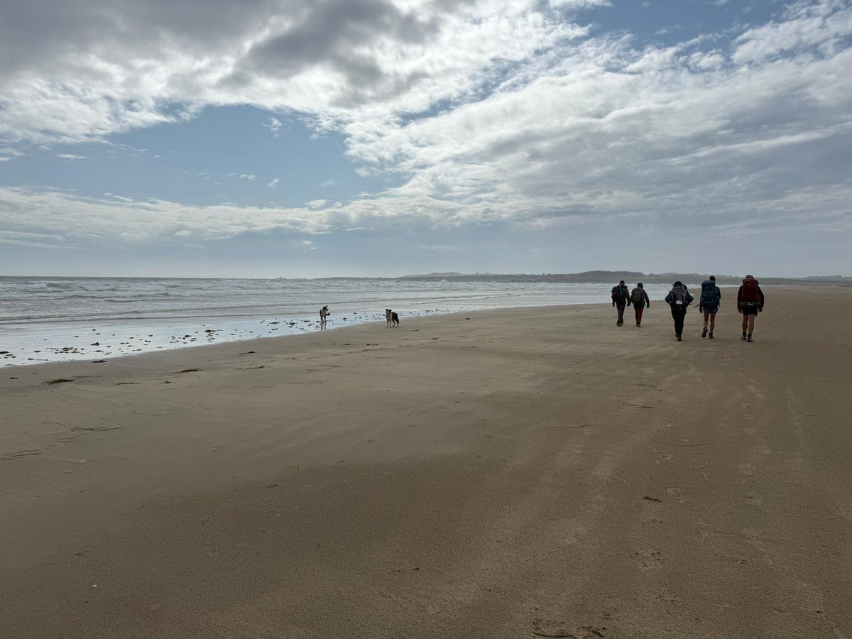 Steve Nevitt tweet media