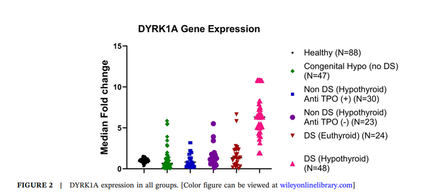Sociedad SEEN tweet media